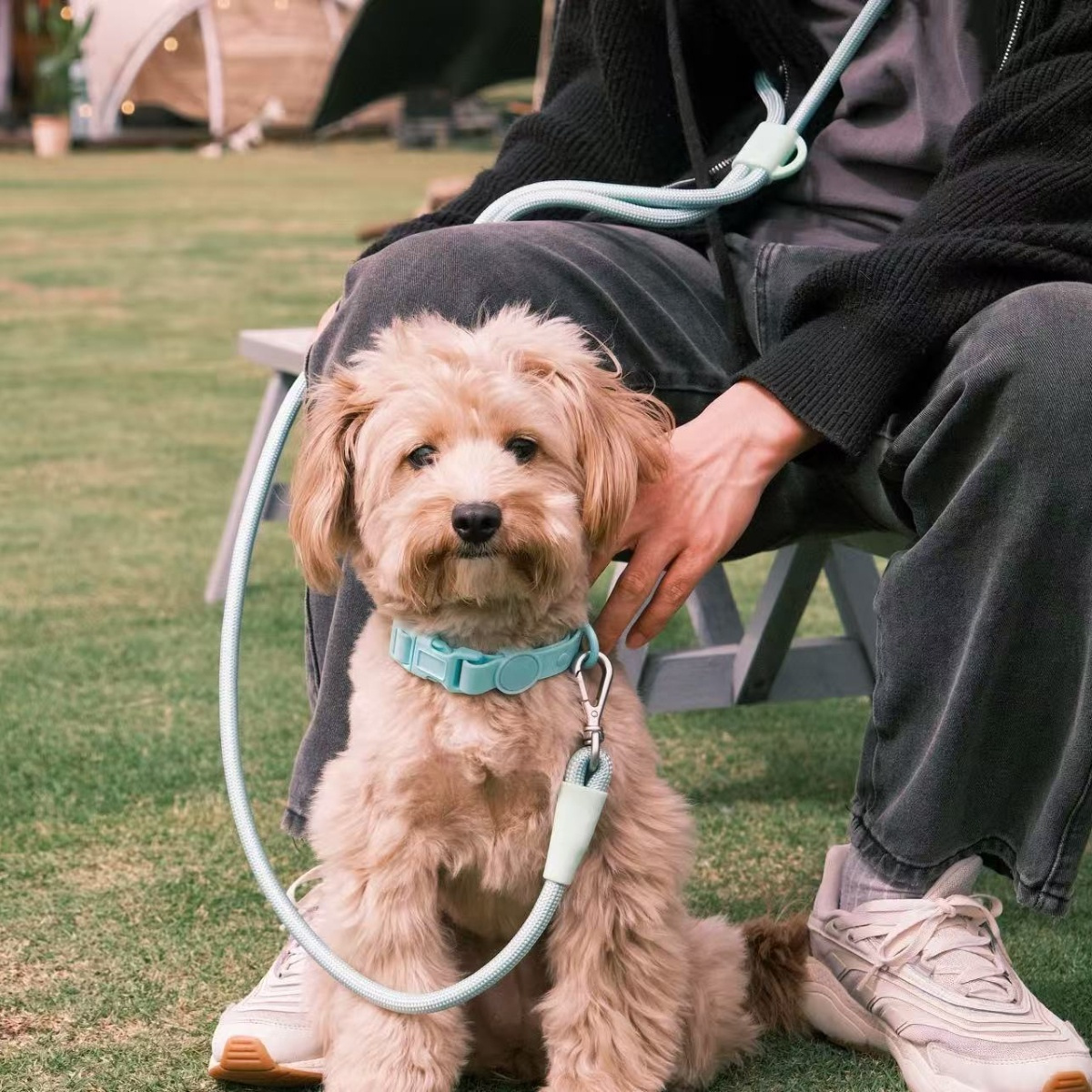 Correa para Perro 4 en 1 – Uso Manos Libres, Diseño Cruzado, Cintura o Tradicional